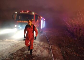 Corpo de Bombeiros debelou 3.836 incêndios em vegetação em 2022