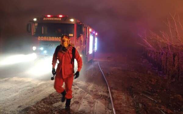 Corpo de Bombeiros debelou 3.836 incêndios em vegetação em 2022