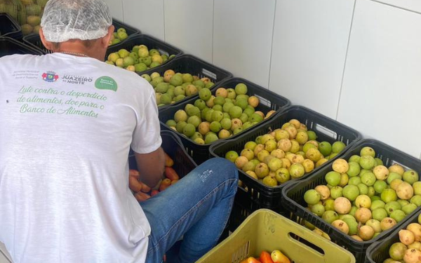 Banco de Alimentos fortalece estrutura da segurança alimentar em Juazeiro do Norte