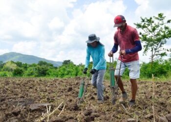 Mais de 50 famílias de pequenos produtores já foram atendidas através do PROARA