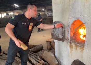 Polícia Civil incinera mais de uma tonelada de drogas apreendidas no Ceará