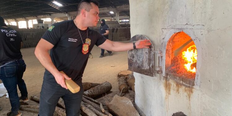 Polícia Civil incinera mais de uma tonelada de drogas apreendidas no Ceará