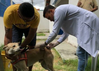 Juazeiro do Norte divulga novo cronograma de vacinação antirrábica