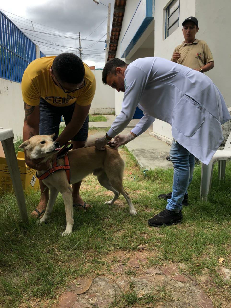 The rabies vaccine available in health centers is safe and effective against the disease – Badalo The rabies vaccine available in health centers is safe and effective against the disease – Badalo