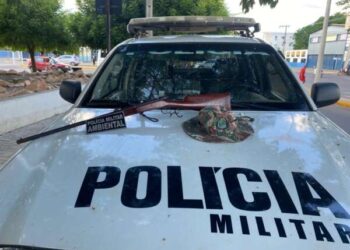Rifle é apreendido pela PMCE na zona rural de Caririaçu