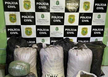 Polícia Civil e PRF prendem maranhense e pernambucano em posse de 102 kg de drogas em Penaforte
