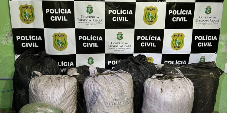 Polícia Civil e PRF prendem maranhense e pernambucano em posse de 102 kg de drogas em Penaforte