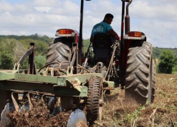 Agricultores de Barbalha são beneficiados com Programa Terra Fértil