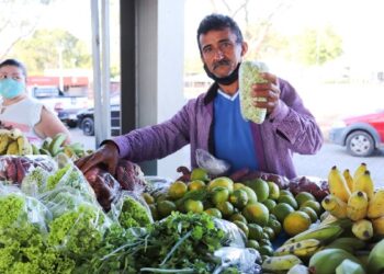 Circuito de feiras da agricultura familiar e economia criativa movimenta Parque de Exposição
