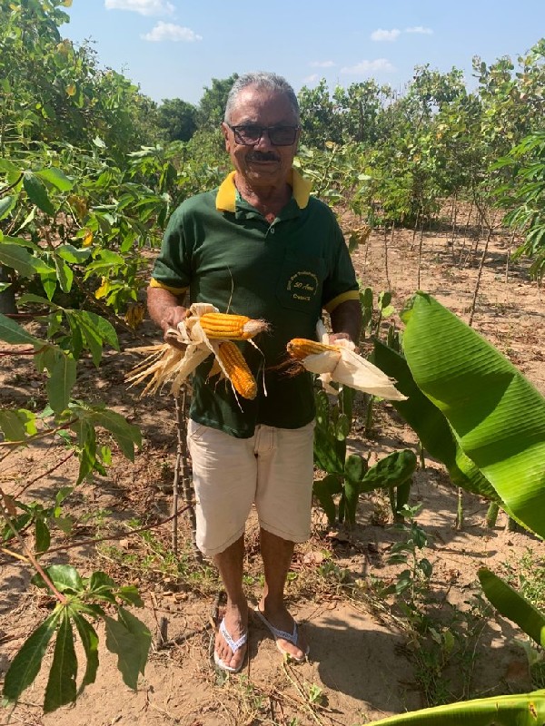 Boletos do Garantia Safra serão liberados a partir de segunda-feira (16)