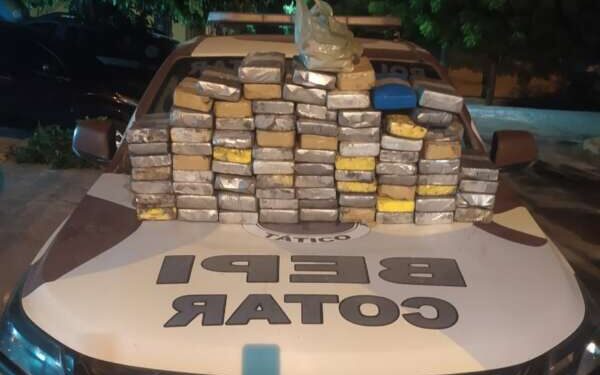 Mais de cinco toneladas de drogas foram apreendidas no Ceará em 2022