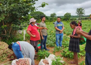 Barbalha: Programa Terra Fértil beneficia 84 produtores da agricultura familiar