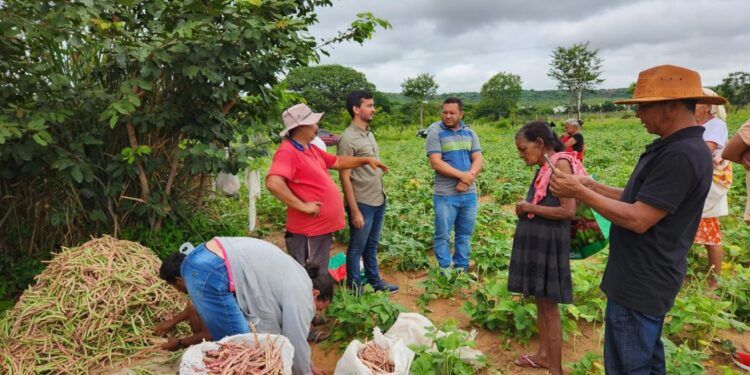 Barbalha: Programa Terra Fértil beneficia 84 produtores da agricultura familiar