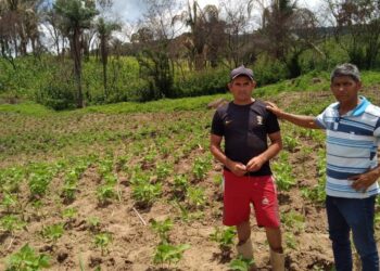 Barbalha oferta acompanhamento técnico para agricultura familiar
