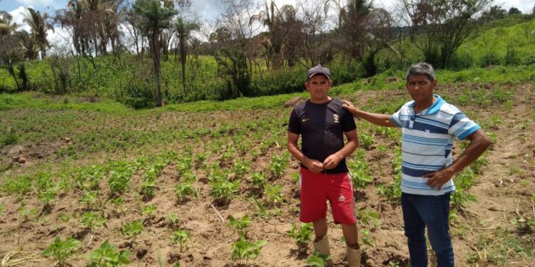 Barbalha oferta acompanhamento técnico para agricultura familiar
