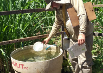 Juazeiro do Norte desenvolve ações de prevenção contra arboviroses