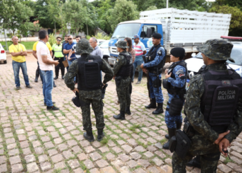 Juazeiro do Norte promove retirada de animais em vias públicas