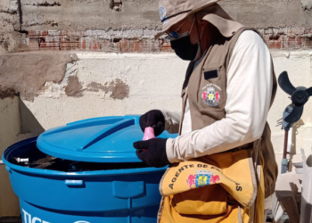 Juazeiro do Norte realiza ações contínuas para combater o Aedes Aegypti