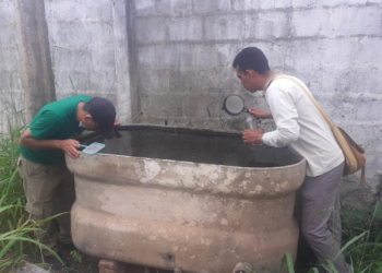 Juazeiro do Norte teve redução nos casos de Chikungunya e avança no combate
