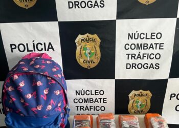 Mulher é presa em posse de 4 kg de drogas durante ação da Polícia Civil no Crato