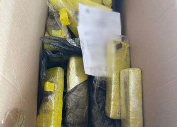 Polícia Civil do Ceará incinera 30 quilos de drogas no Sertão Central