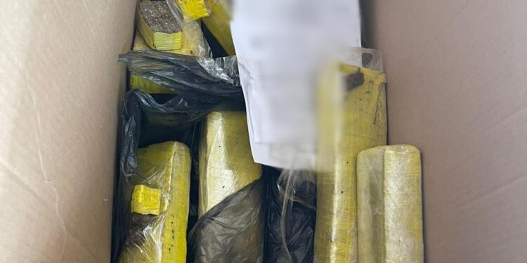 Polícia Civil do Ceará incinera 30 quilos de drogas no Sertão Central