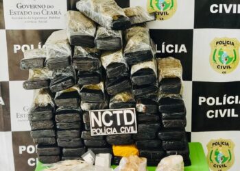 Polícia Civil prende casal em flagrante por tráfico de drogas em Várzea Alegre