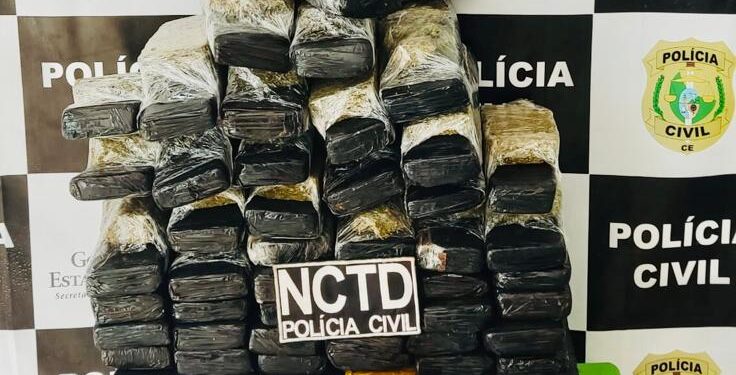 Polícia Civil prende casal em flagrante por tráfico de drogas em Várzea Alegre