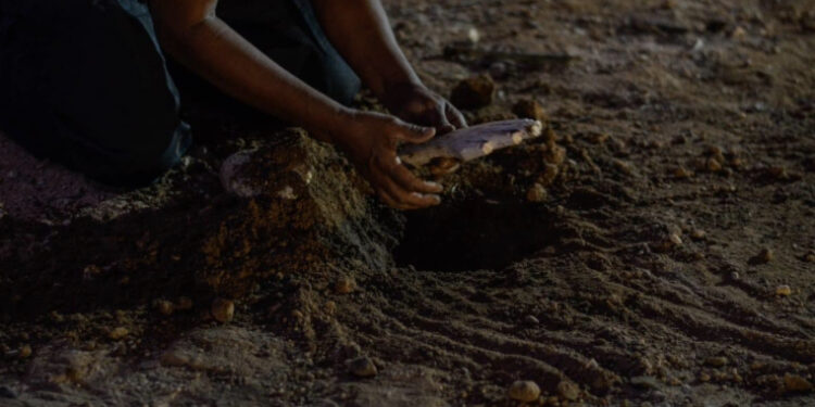 Elas na cena: Vila da Música promove programação especial voltada para o mês das mulheres em março