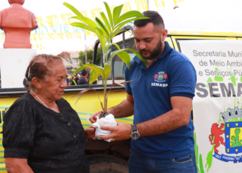 Juazeiro do Norte realiza Festa Anual das Árvores