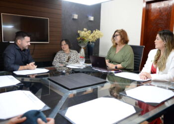 SSPDS e Instituto Maria da Penha discutem prevenção à violência contra a mulher