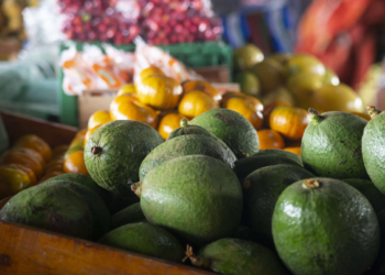 Preço do abacate cai 43,8% na Ceasa Cariri