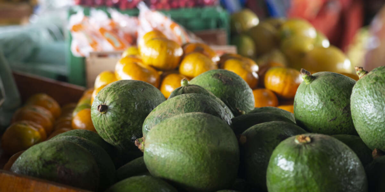Preço do abacate cai 43,8% na Ceasa Cariri