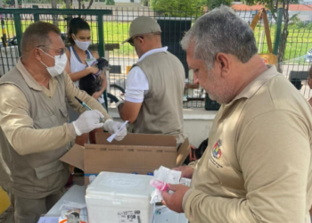 Juazeiro do Norte realiza dia de doação e bem-estar animal