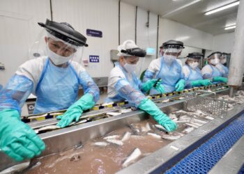 Primeiro lugar em exportação de pescados, Ceará é responsável por mais de 25% das exportações brasileiras na área