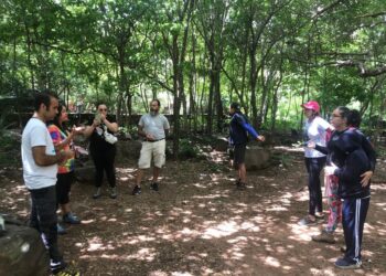 Neste mês de abril, o Complexo Ambiental Caminhos do Horto traz eventos que integram a sociedade ao meio ambiente, música e cultura