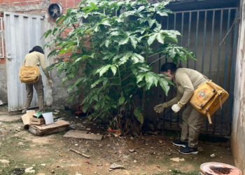 Agentes de endemias intensificam combate aos escorpiões