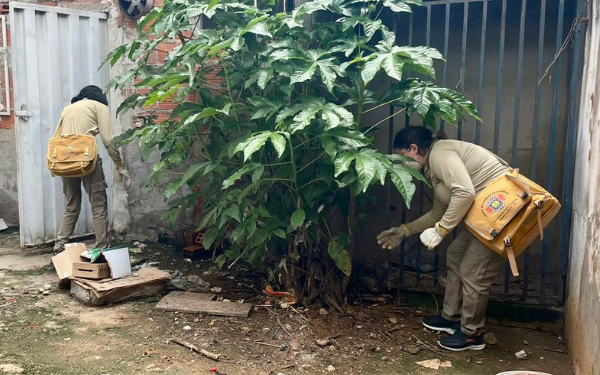 Agentes de endemias intensificam combate aos escorpiões
