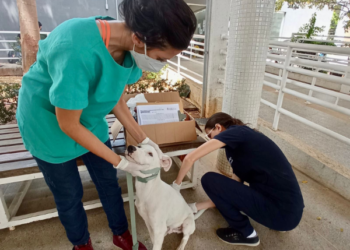 Centro de Zoonoses promove ações de vacinação antirrábica