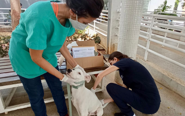 Centro de Zoonoses promove ações de vacinação antirrábica