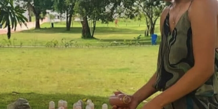 Complexo Ambiental Caminhos do Horto oferta Oficina Tirando tinta de “pedra” na escola Alaíde Silva Santos