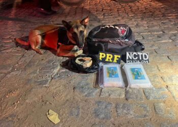 Suspeito de transportar drogas de Maceió para a Região Sul do Ceará é preso em ação conjunta em Penaforte