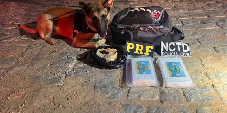 Suspeito de transportar drogas de Maceió para a Região Sul do Ceará é preso em ação conjunta em Penaforte