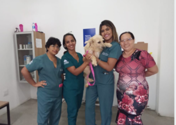 Juazeiro do Norte alcança 100 castrações em 45 dias da nova fase do programa