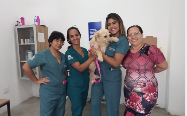 Juazeiro do Norte alcança 100 castrações em 45 dias da nova fase do programa