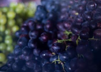 Preço da uva Vitória cai 40% na Ceasa Cariri