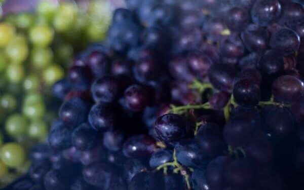Preço da uva Vitória cai 40% na Ceasa Cariri