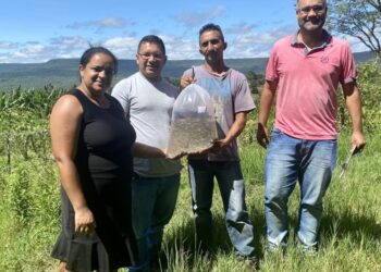 Barbalha: iniciada a entrega de peixes alevinos para agricultores rurais