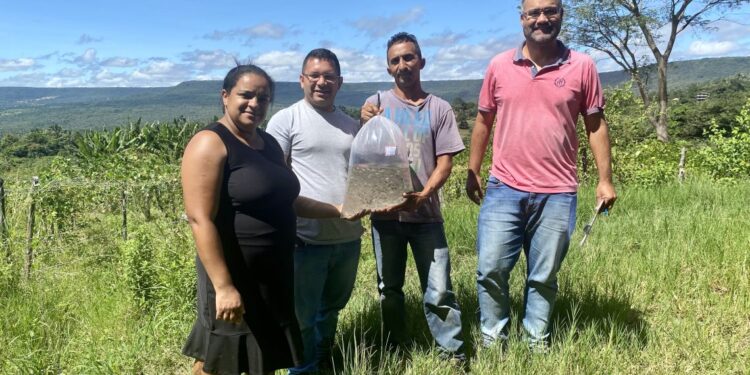 Barbalha: iniciada a entrega de peixes alevinos para agricultores rurais