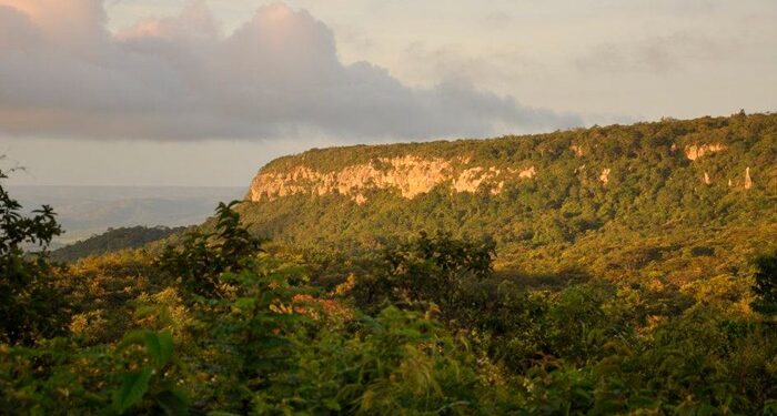 MPCE ingressa com Ação Civil Pública contra Prefeitura de Crato para proteger APA da Chapada do Araripe-Apodi
